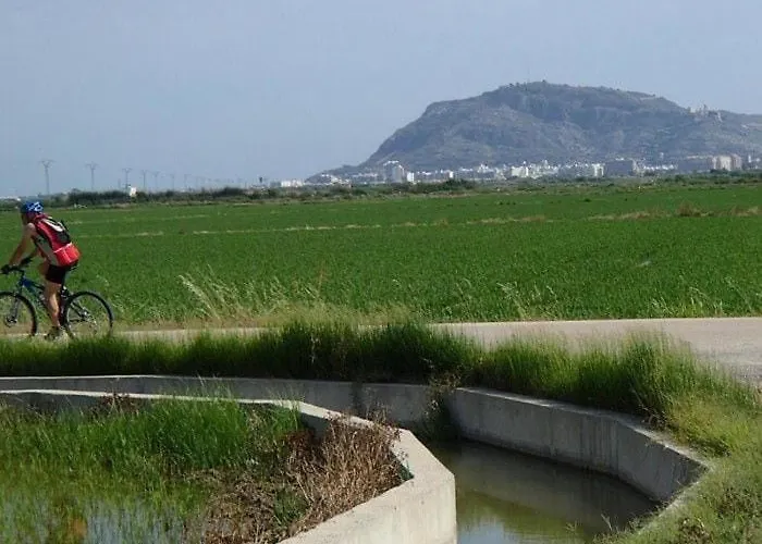 Aitana *